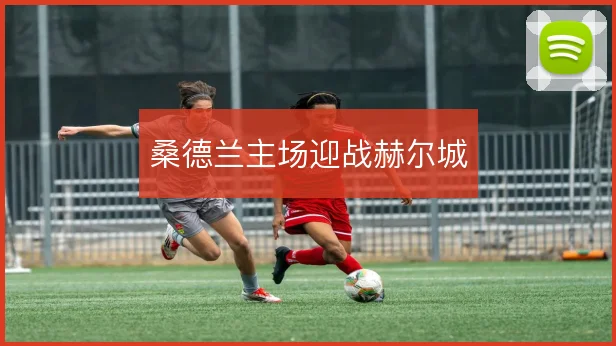 桑德兰主场迎战赫尔城