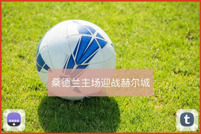 桑德兰主场迎战赫尔城